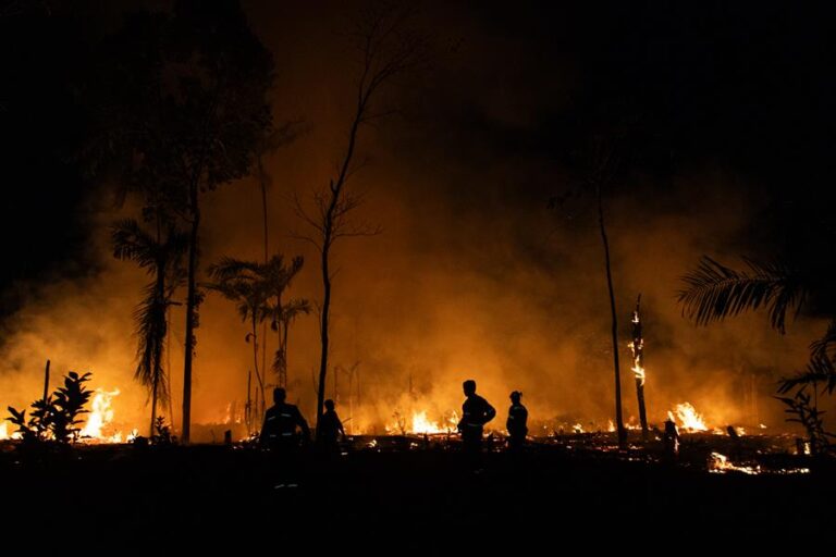 Los incendios degradan 2.846 kilómetros cuadrados de la Amazonía