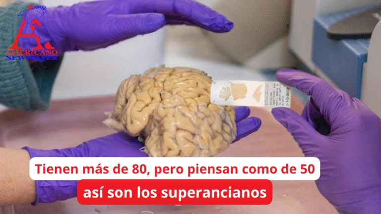 Cerebros que no envejecen, el enigma de los superancianos que intriga a la ciencia