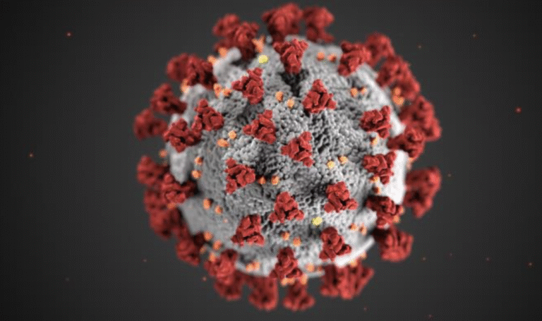 Imagen del virus del sarampión