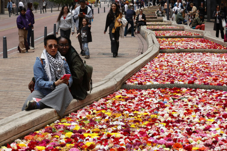Un río de flores viste de colores el centro de Bogotá como antesala de la Bienal BOG25