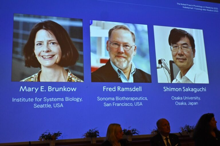 El Nobel de Medicina reconoce los descubrimientos sobre cómo se regula el sistema inmune