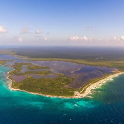 Los arrecifes de coral se extinguirán si no se revierte el calentamiento global, alerta informe
