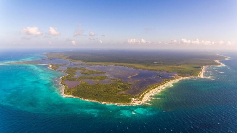 Los arrecifes de coral se extinguirán si no se revierte el calentamiento global, alerta informe