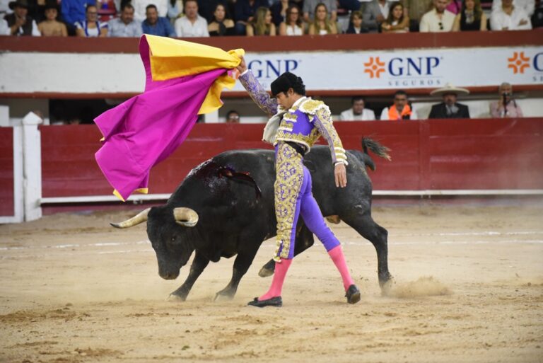 Supremo de México estudia un amparo de un pueblo contra las corridas de toros ‘sin sangre’ Supremo de México estudia un amparo de un pueblo contra las corridas de toros ‘sin sangre’
