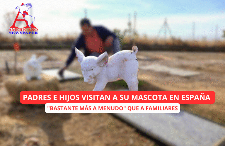 En España, los cementerios de mascotas “se visitan más que los de personas”