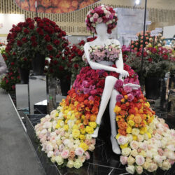 La muestra de flores más importante de América arranca en Bogotá con más de 1.500 compradores
