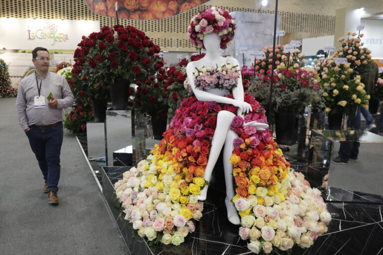 La muestra de flores más importante de América arranca en Bogotá con más de 1.500 compradores