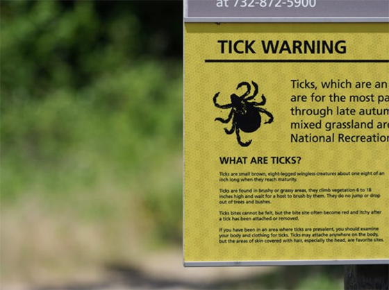 Las picaduras de garrapatas mandan a más personas a urgencias que en los últimos 10 años