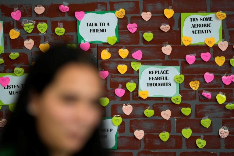 Qué fue aprobado y qué quedó fuera del gasto de salud mental de Sherrill