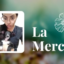 La Mercy