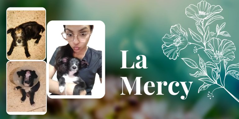 La Mercy