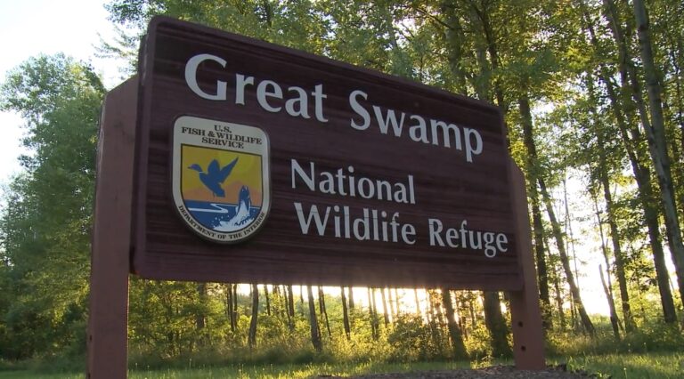 The future of America’s public lands is at stake!