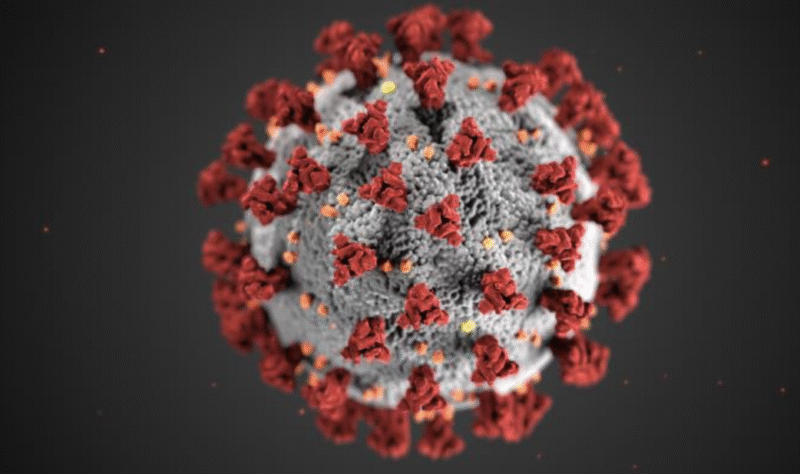 Measles virus image