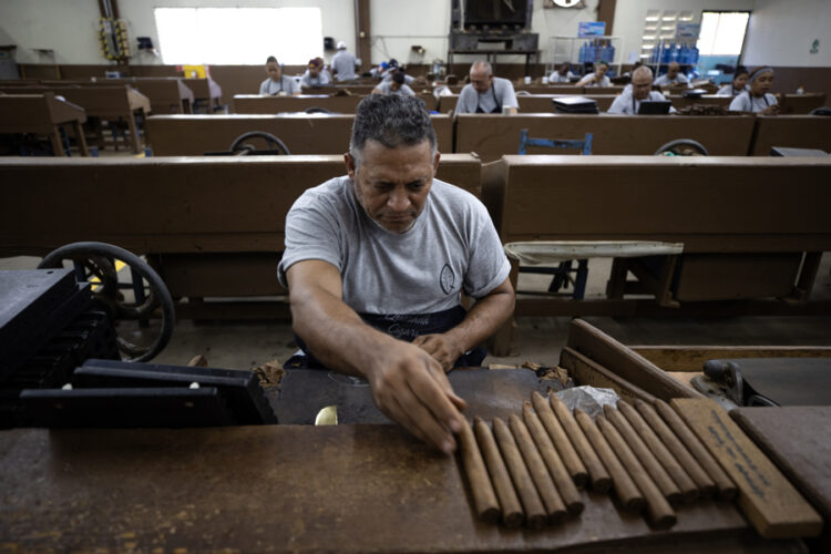 Workers make cigars at the Quesada Cigars tobacco factory on August 1, 2025, in Santiago (Dominican Republic). Aug. 1, 2025. EFE/ Orlando Barría