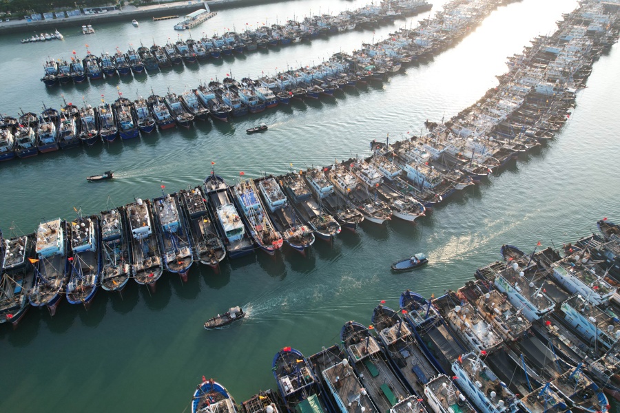 An aerial drone photo shows vessels anchored at a port to take shelter from Typhoon Podul in Xiamen, Fujian Province, southeast China 12 August 2025 (issued 13 August 2025). CHINA OUT / UK AND IRELAND OUT /