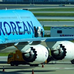 South Korean Deportees!