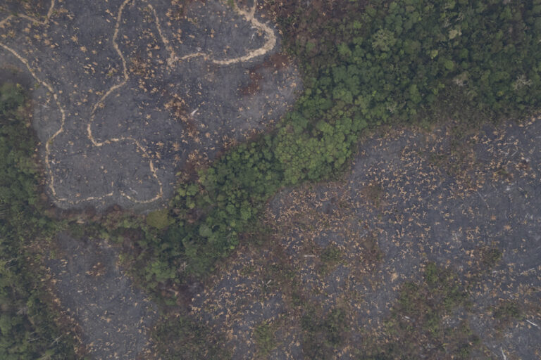 Concern over climate change and deforestation is growing in Brazil, according to a survey.