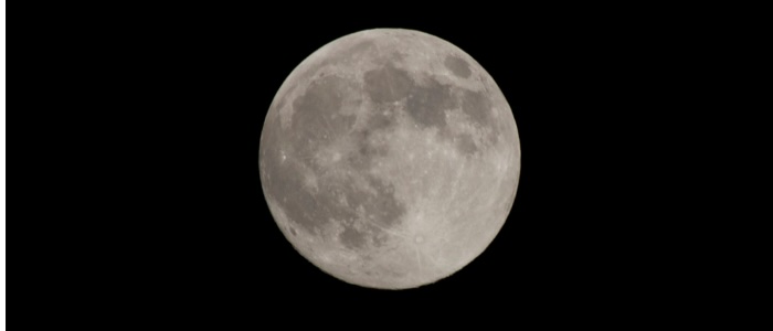 Moonlit mysteries of New Jersey’s wildlife Moonlit mysteries of New Jersey’s wildlife