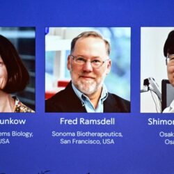The 2025 Nobel Prize in Medicine!