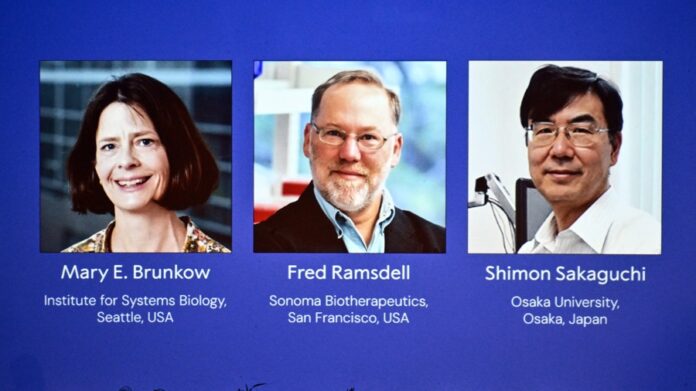 The recipients of the 2025 Nobel Prize in Physiology or Medicine, (L-R) Mary E. Brunkow, Fred Ramsdell and Shimon Sakaguchi, for their discoveries concerning peripheral immune tolerance are announced by the Nobel Assembly at the Karolinska Institute, in Solna, Stockholm County, Sweden, 06 October 2025. EFE/EPA/CLAUDIO BRESCIANI/TT SWEDEN OUT