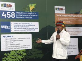 Ecuador sets climate milestone with 700,000 hectares of sustainable forests in 10 years