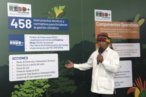 Ecuador sets climate milestone with 700,000 hectares of sustainable forests in 10 years