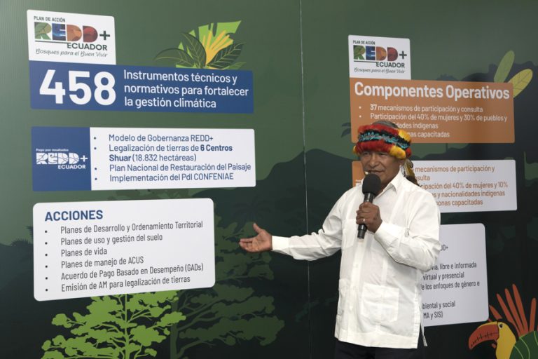 Ecuador sets climate milestone with 700,000 hectares of sustainable forests in 10 years