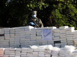 Cocaine on fire in Santo Domingo! A member of the National Institute of Forensic Sciences (Inacif) guards confiscated cocaine in Santo Domingo, Dominican Republic. Nov. 27, 2025. EFE/ Orlando Barria
