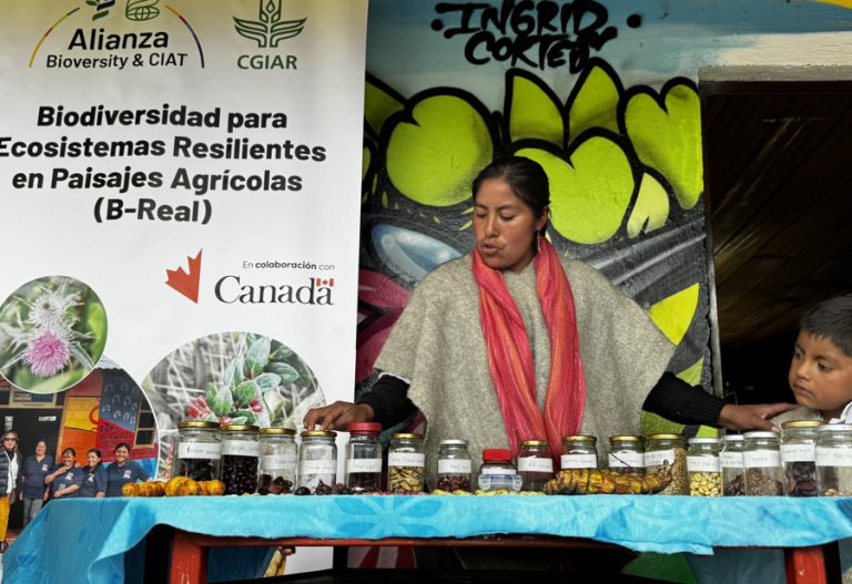Indigenous seed bank fights hunger in southwestern Colombia Indigenous seed bank fights hunger in southwestern Colombia