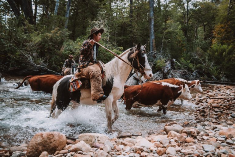 Chilean Patagonia community leads plan to conserve its territory and culture.