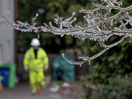 A Georgia Power lineman checks on a possible power outage as a winter storm moves through the metro Atlanta city of Avondale Estates, Georgia, USA, 25 January 2026. EFE/EPA/ERIK S. LESSER