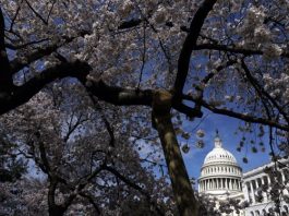 The US Capitol, Washington, DC, USA, 25 March 2026. EFE-EPA/WILL OLIVER