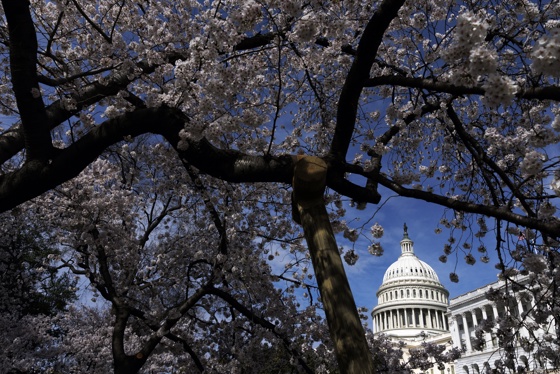 The US Capitol, Washington, DC, USA, 25 March 2026. EFE-EPA/WILL OLIVER