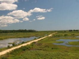 Edwin B. Forsythe National Wildlife Refuge