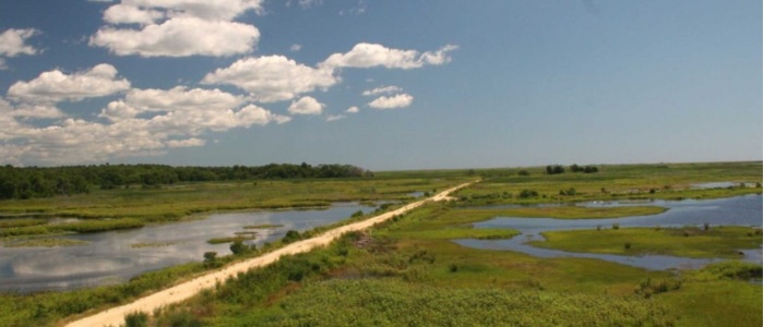 Edwin B. Forsythe National Wildlife Refuge
