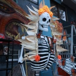 A Mexican Tradition with global expansion!